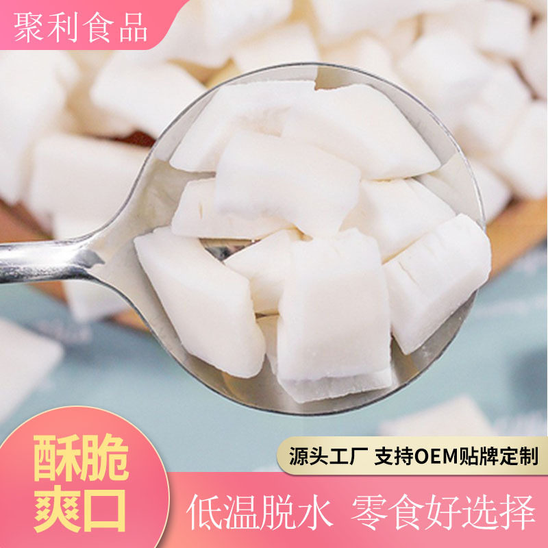 椰子肉干零食小吃休闲食品椰果健康香酥块脆片海南特产水果干