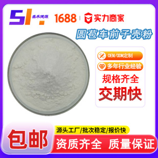 洋车前子壳粉99% 圆苞洋车前子壳粉 膳食纤维 印度圆苞车前子壳粉