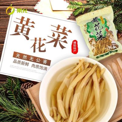 干黄花菜干货500g宁夏吴忠红寺堡黄花菜新货农家自晒无硫包邮