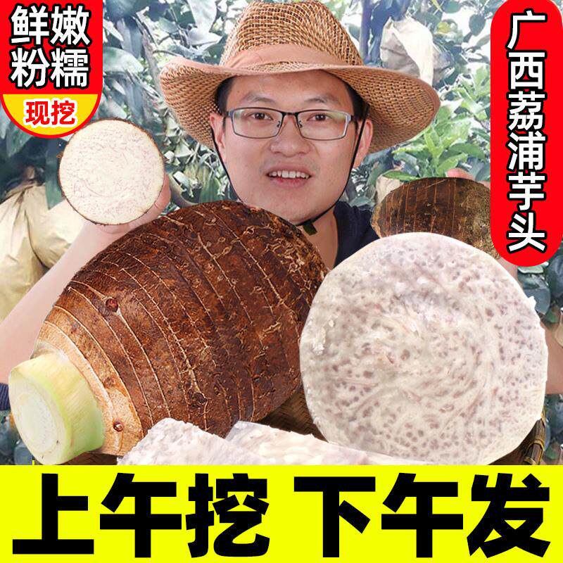 正宗广西荔浦新鲜芋头9斤农家中大果毛芋头小香芋艿粉蔬菜10
