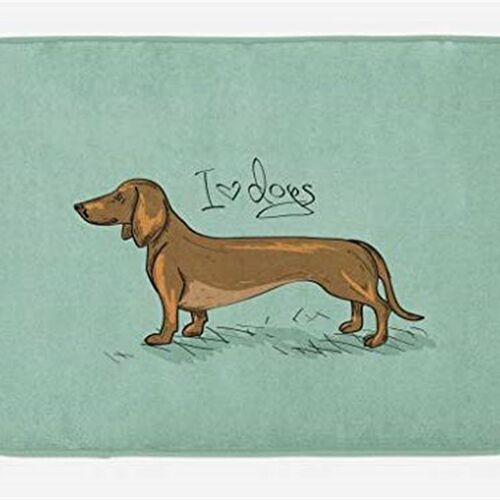 极速Ambesonne Dachshund Bath Mat, Dachshund Puppy on an