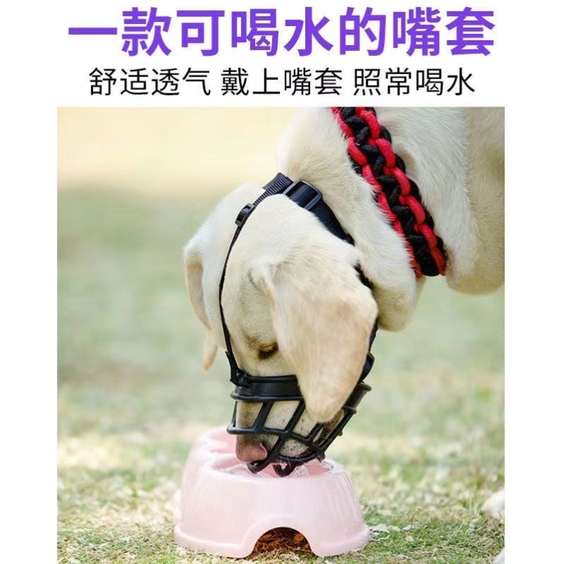 柯基专用可调节防乱吃狗狗嘴套口罩嘴巴套止吠器嘴罩护嘴防误食