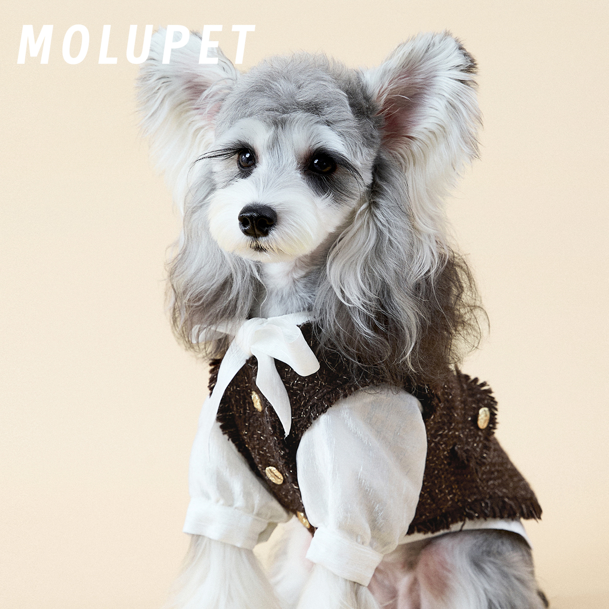 MOLU PET宠物马甲套装秋冬小香风飘带衬衫新款保暖中小型犬雪纳瑞