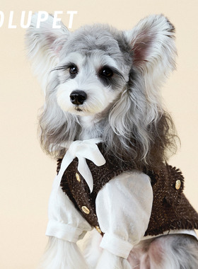 MOLU PET宠物马甲套装秋冬小香风飘带衬衫新款保暖中小型犬雪纳瑞