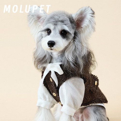 MOLU PET宠物马甲套装秋冬小香风飘带衬衫新款保暖中小型犬雪纳瑞