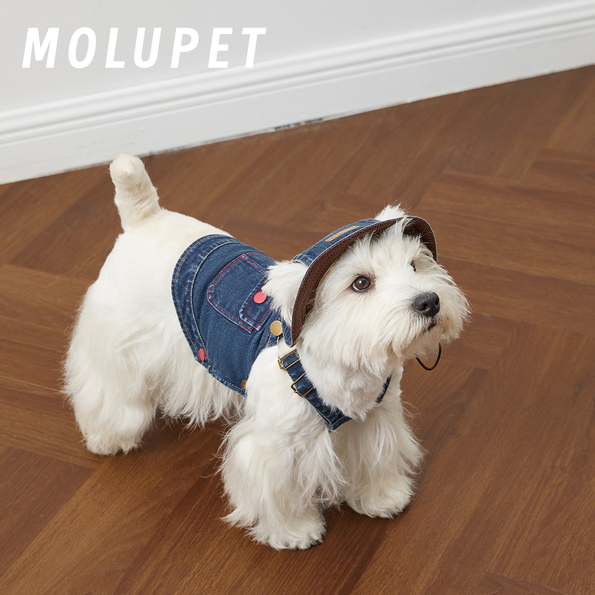 KOKI狗狗衣服春夏牛仔背带帽子套装小型犬泰迪西高地马尔济斯