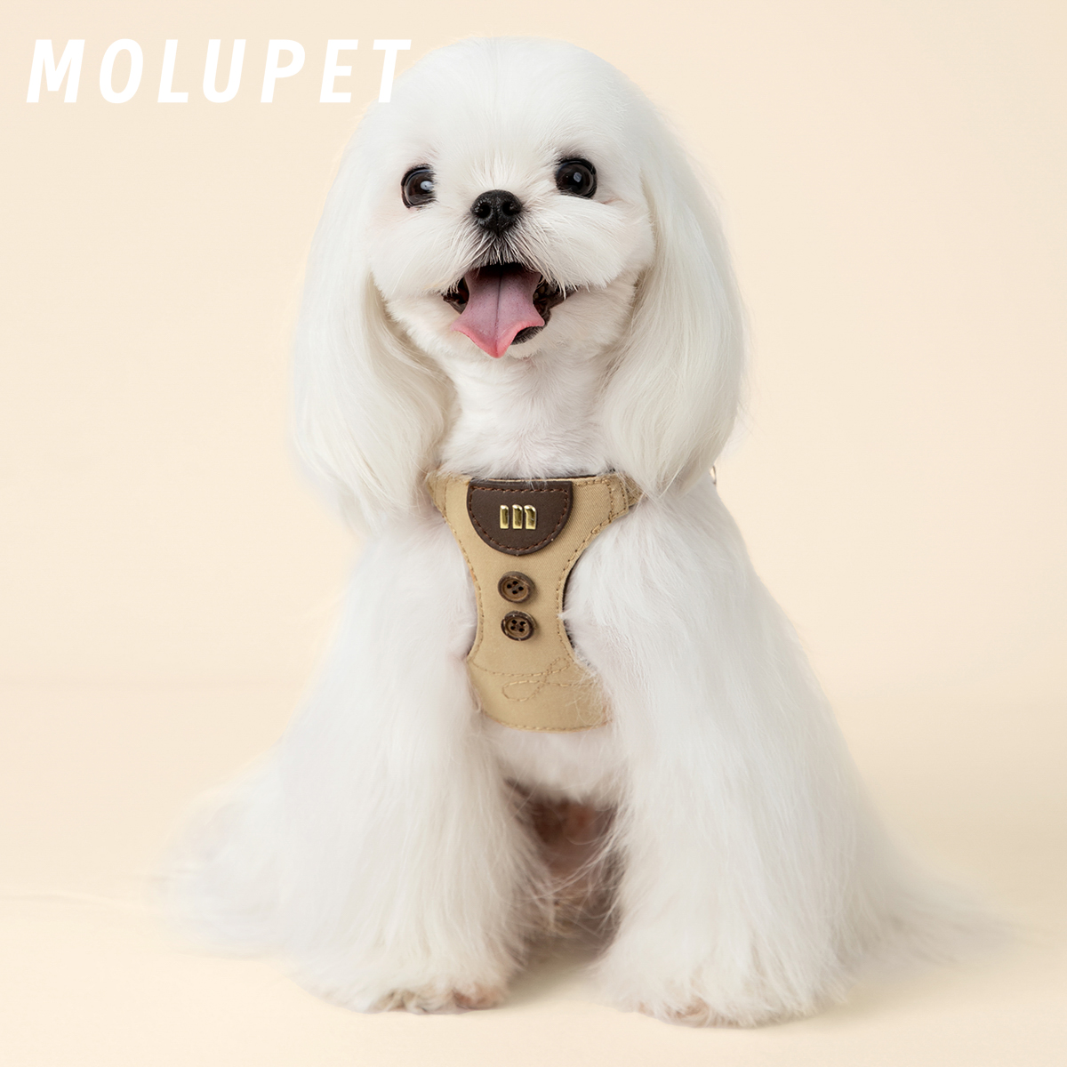 MOLU PET狗狗牵引绳小型中犬狗绳子遛狗绳背心式真皮防挣脱胸背带