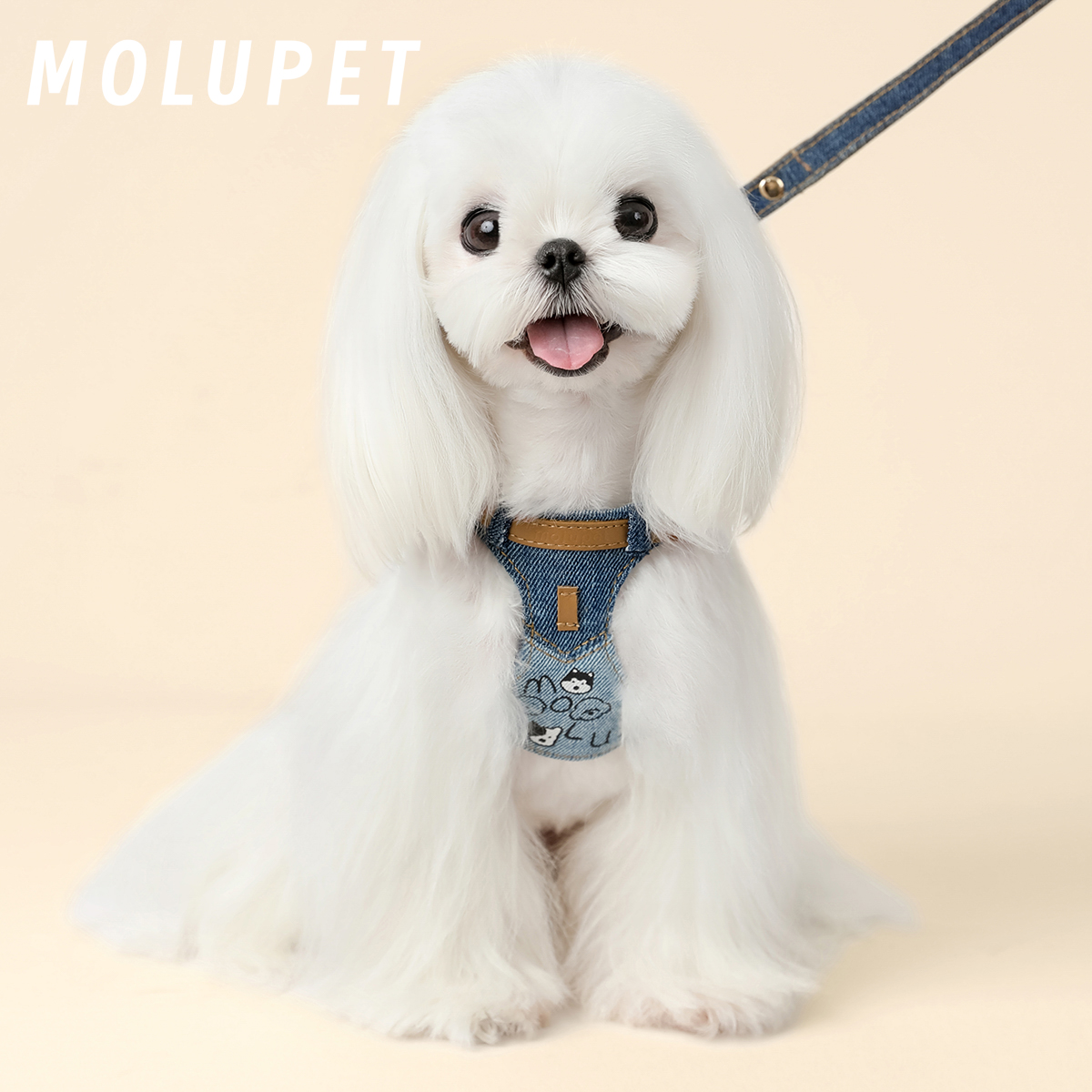 MOLU PET狗狗牵引绳牛仔小型绣花狗绳子遛狗绳背心式防挣脱胸背带