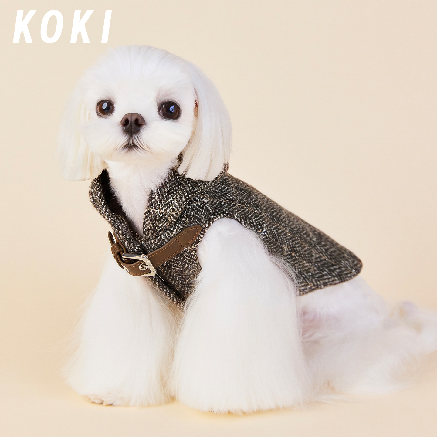 molu pet小香风毛呢宠物外套秋冬保暖羊毛小型犬马尔济斯约克夏