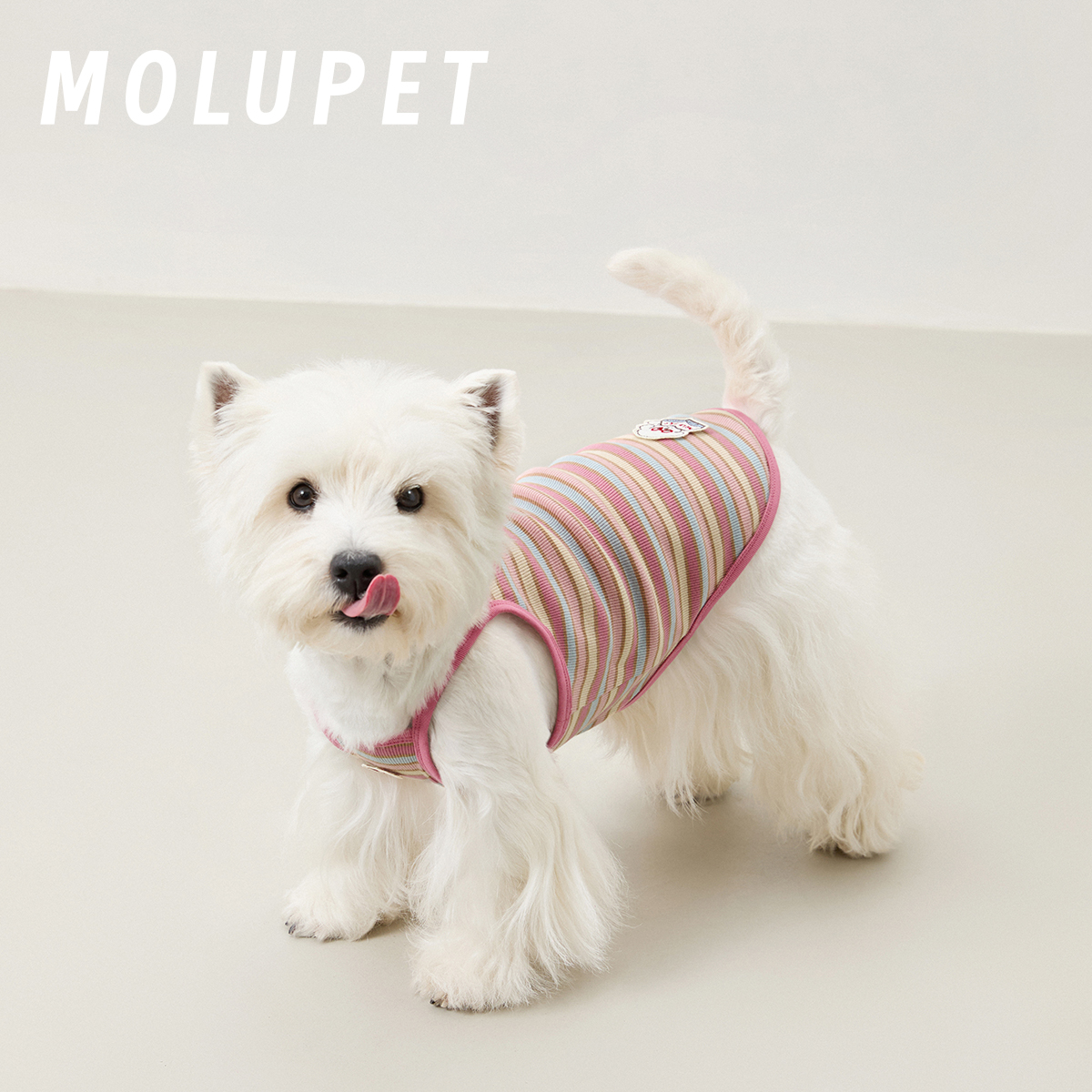 molu pet狗狗衣服吊带背心春夏可爱条纹薄款小型犬西施比熊约克夏