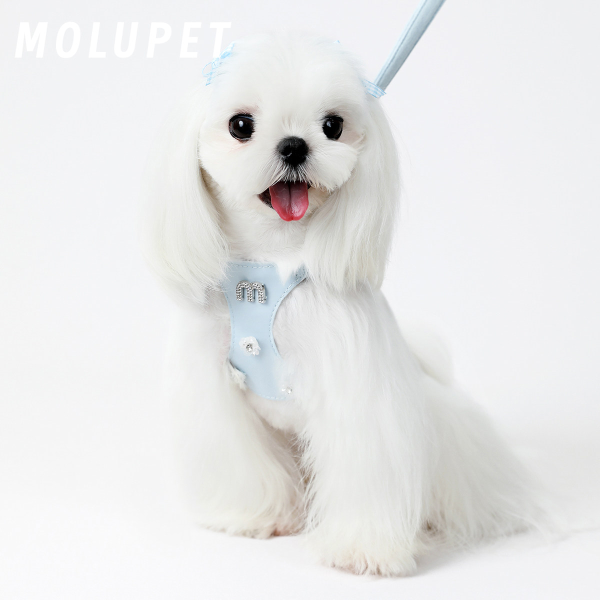 MOLU PET狗狗牵引绳闪钻花小型犬狗绳子遛狗绳背心式防挣脱胸背带