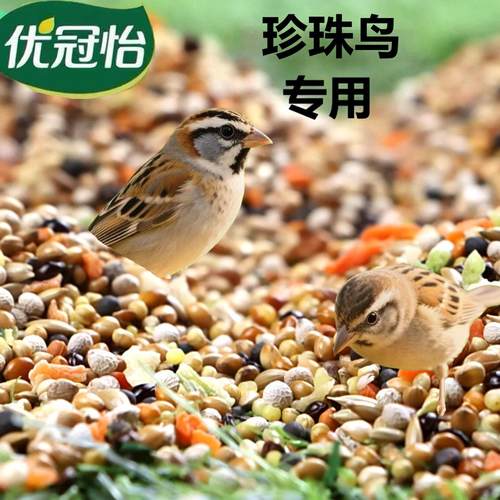 珠珠鸟专用粮雀鸟鹦鹉饲料鸟粮