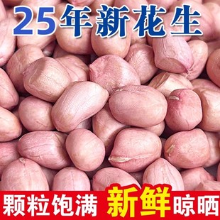 2025年新鲜花生米新货白沙生花生米大颗粒农家自种散装去壳花生仁