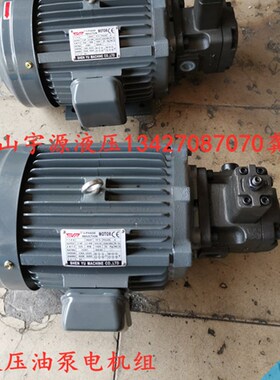 花键油泵电机组0.75KW 1.5KW 2.2KW 3.7KW+VP-40O 30 20 15 12FA3