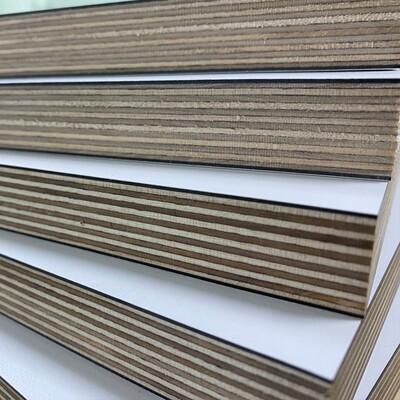 20MM原装进口全桦木海洋板防火板免漆板环保家具板V防水防霉多层