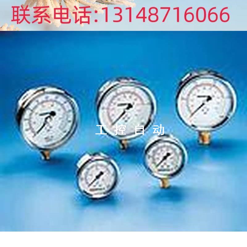 (议价)原装进口 美国恩派克  液压压力表 GP-10S
