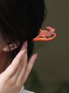 Vintage Hair Sticks Chinese Hanfu Hair Accessories For Women