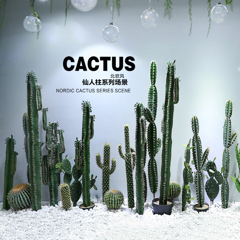 快速发货仿真仙人掌直播间装饰摆件E植物仙人柱盆栽室内橱窗造景,家居饰品,仿真植物盆景,淘宝优惠券,粉丝福利购,淘宝优惠卷