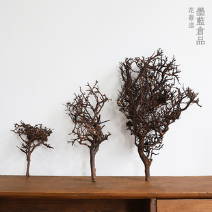 快速发货泰国枝花材造景装饰插花干枝树枝莫斯P树杜鹃根多枝丫材