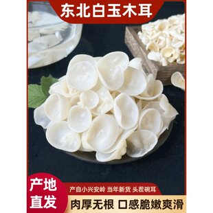 东北特产白玉木耳干货500g小碗耳非野生兔耳菌无根白木耳小朵木耳