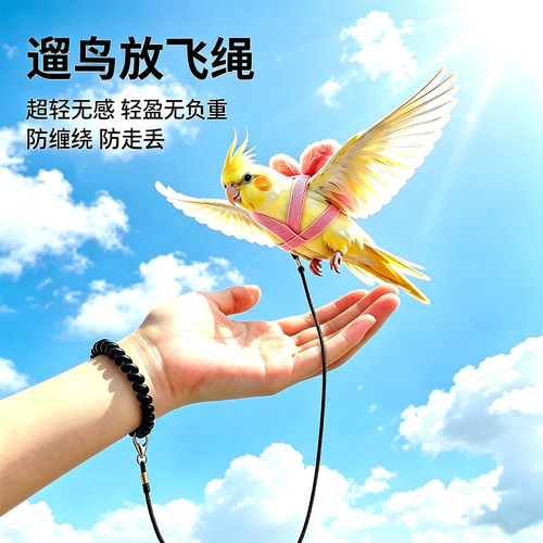 超轻弹力鹦鹉放飞牵引绳