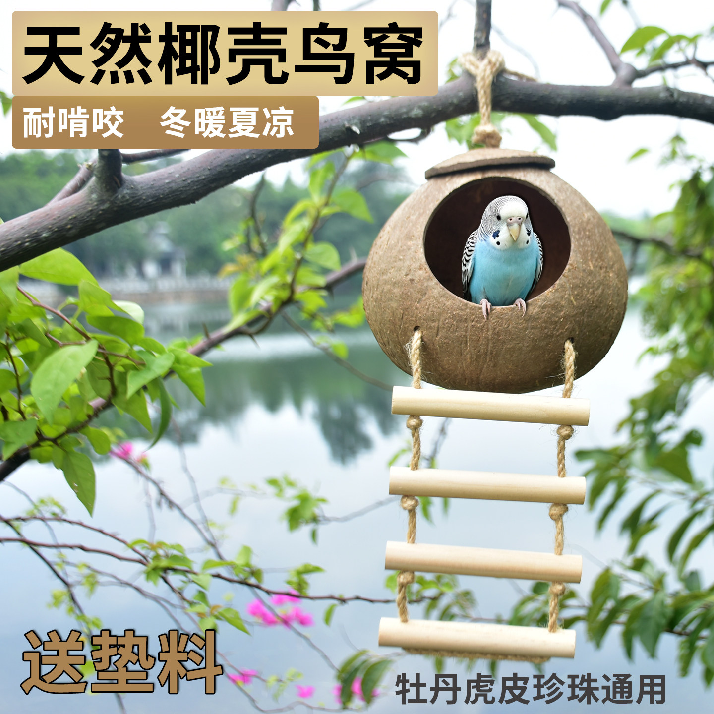 鹦鹉鸟窝椰子壳睡觉窝虎皮牡丹珍珠文鸟专用新型生态式鸟笼用品