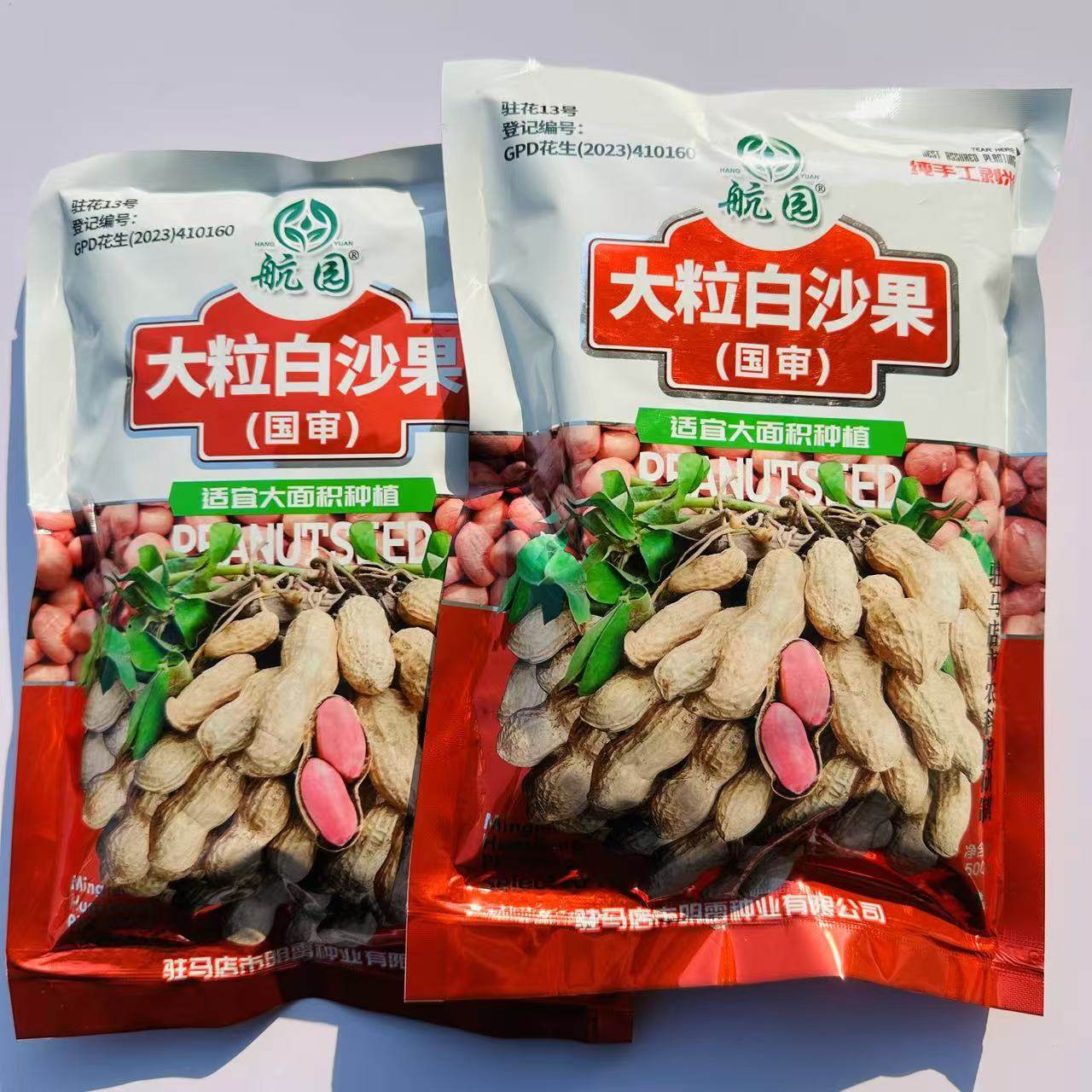 大粒白沙果花生种子纯手工去壳净籽花生种子大粒白沙果花生种子孑