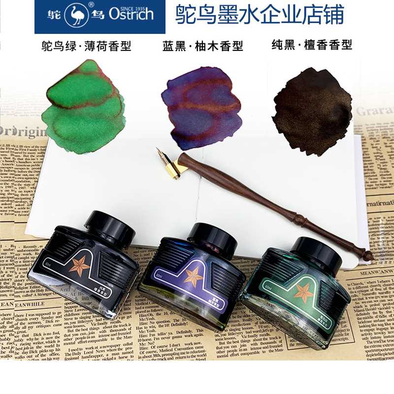 现货速发鸵鸟彩色钢笔黑色蓝黑非碳素学生中性墨水不堵钢笔水练字