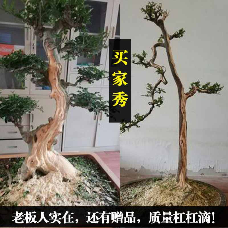 现货速发电动打磨头打磨机盆景丝雕舍利造型水线制作工具金刚雕刻