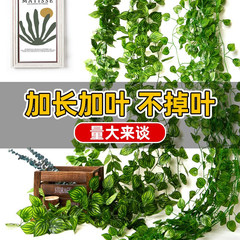 速发植饰遮挡绿装藤条藤蔓假管叶塑料花下水管道空调树子绿叶花藤