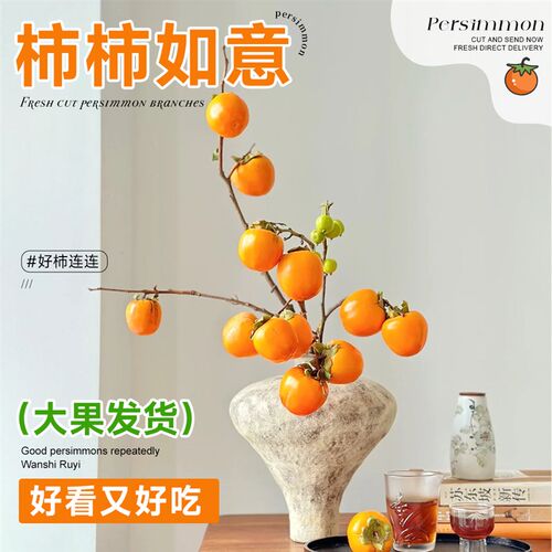速发柿直鲜切枝插花养水小南瓜云南子发橘黄色枝条鲜切花秋意家用