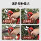 速发力辰科技液粗剪刀果树修枝剪充电式 无线锂电园艺园林电晶动枝