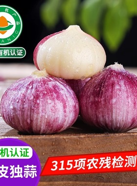 佰家珍品云南有机紫皮独蒜干蒜头农家高原红皮蒜出口标准果干大蒜