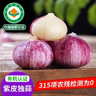 佰家珍品云南有机紫皮独蒜干蒜头农家高原红皮蒜出口标准果干大蒜