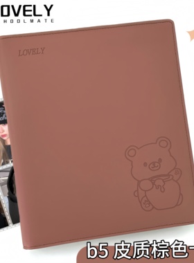 LOVELY B5皮质棕色卡册收藏卡拍立得明信片多尺寸内页收纳册
