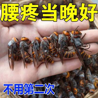 速发【腰疼1夜好】腰锥间盘疼痛腿疼麻木腰部过度劳动损伤腰椎疼