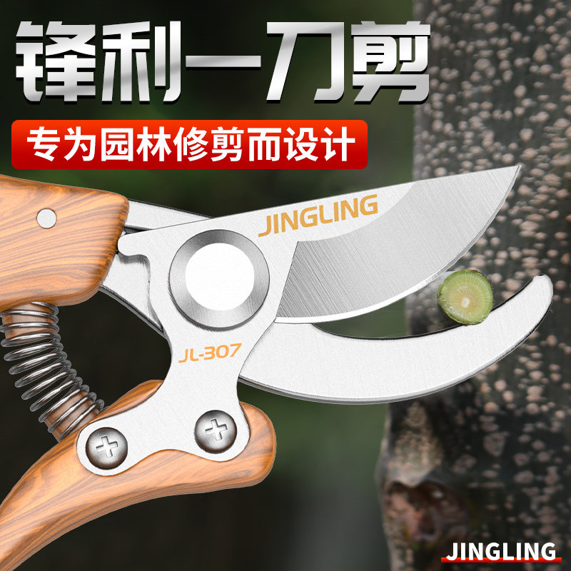 现货速发果树修枝剪园林剪树枝剪刀园艺剪花剪修剪工具剪子剪蒜