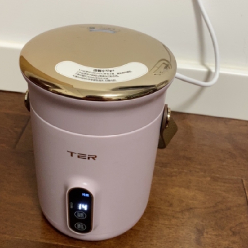 爆品TER小电炖锅煮粥神器家用多功能迷你可携式炖煮锅煲汤熬粥宝
