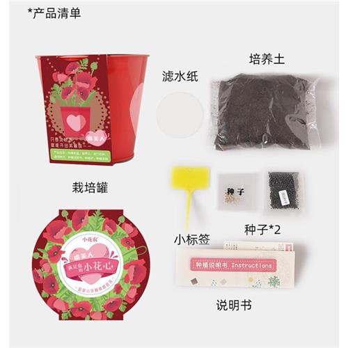 小花农铁桶自种创意迷你盆栽植物发芽观察宝宝幼儿园儿童种植礼物