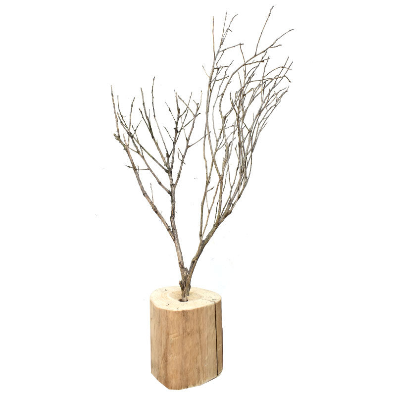 diy小树枝手工细枯枝造型树幼儿园森系创意装饰天然材料原木干枝