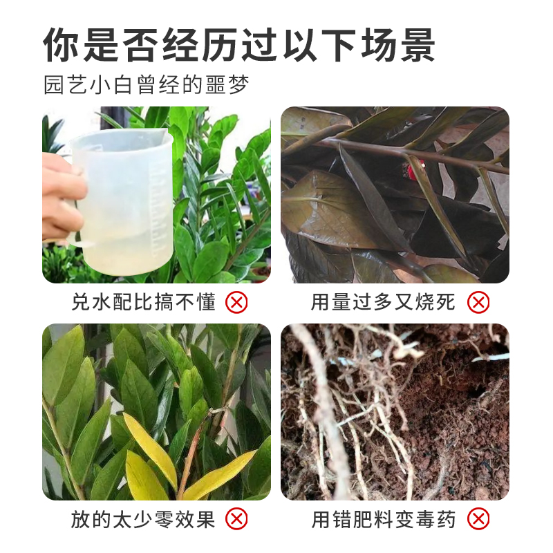 金钱树免稀释专用营养液室内盆栽专用肥叶子发黄家用绿植通用型