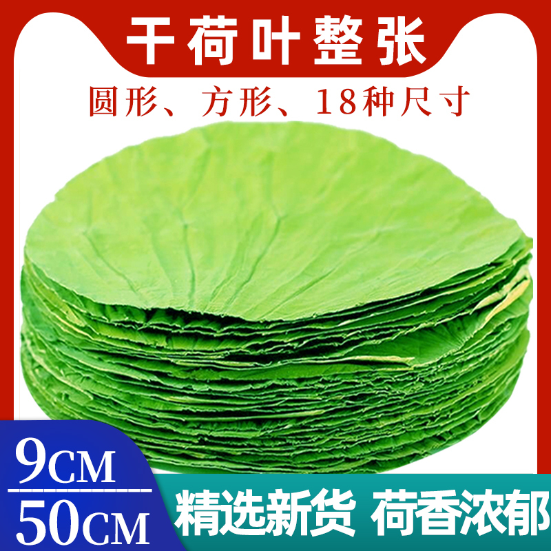 荷叶整张18种尺寸正宗微山湖荷叶叫花鸡饭荷叶饭蒸笼莲叶藕叶
