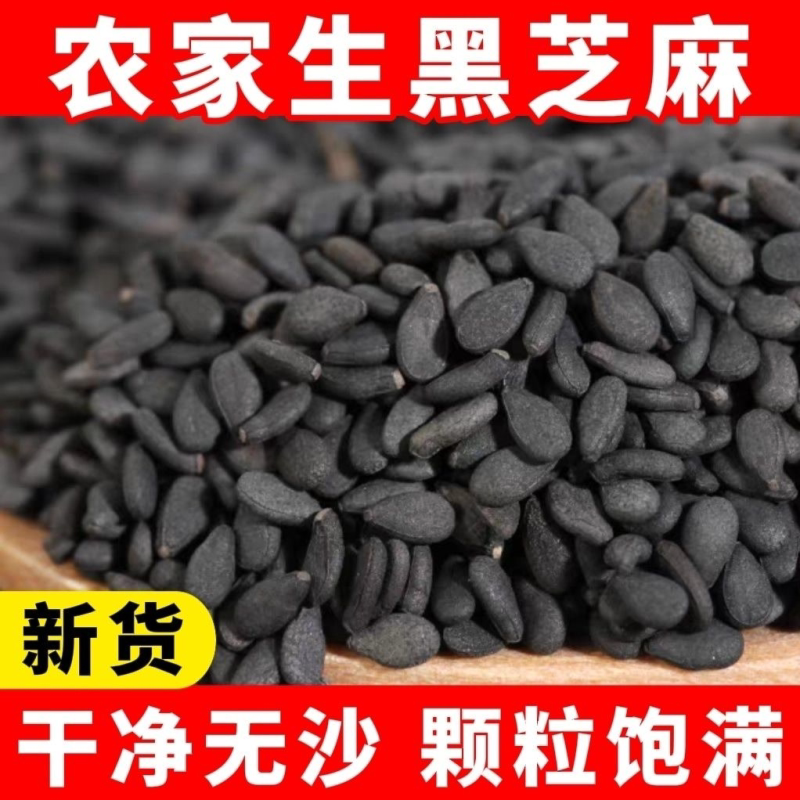 生黑芝麻2025年新货农家黑芝麻粒新鲜干净饱满无沙无染色商用批发