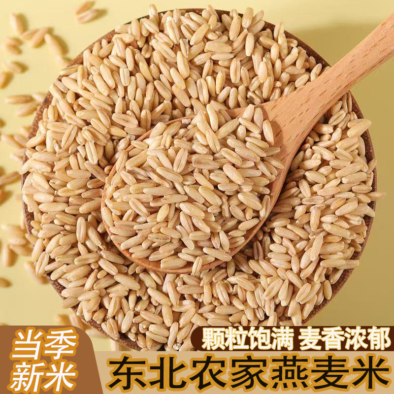 东北新鲜燕麦米燕麦仁麦香浓郁颗粒饱满燕麦雀麦粒燕麦粒燕麦食品