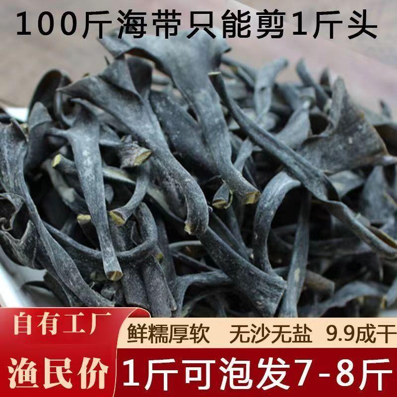 霞浦干海带头特厚特级纯天然日晒海带干货干炖汤凉拌食材商用批发
