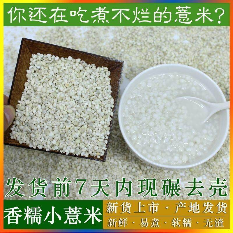 新鲜糯薏米仁新货意米薏仁农家小薏仁米薏苡香糯薏米半碎红豆