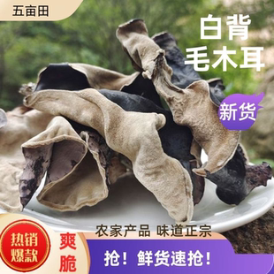 黑木耳大朵人工木耳白背毛木耳涮火锅食材木耳大朵加肥加大干燥剂