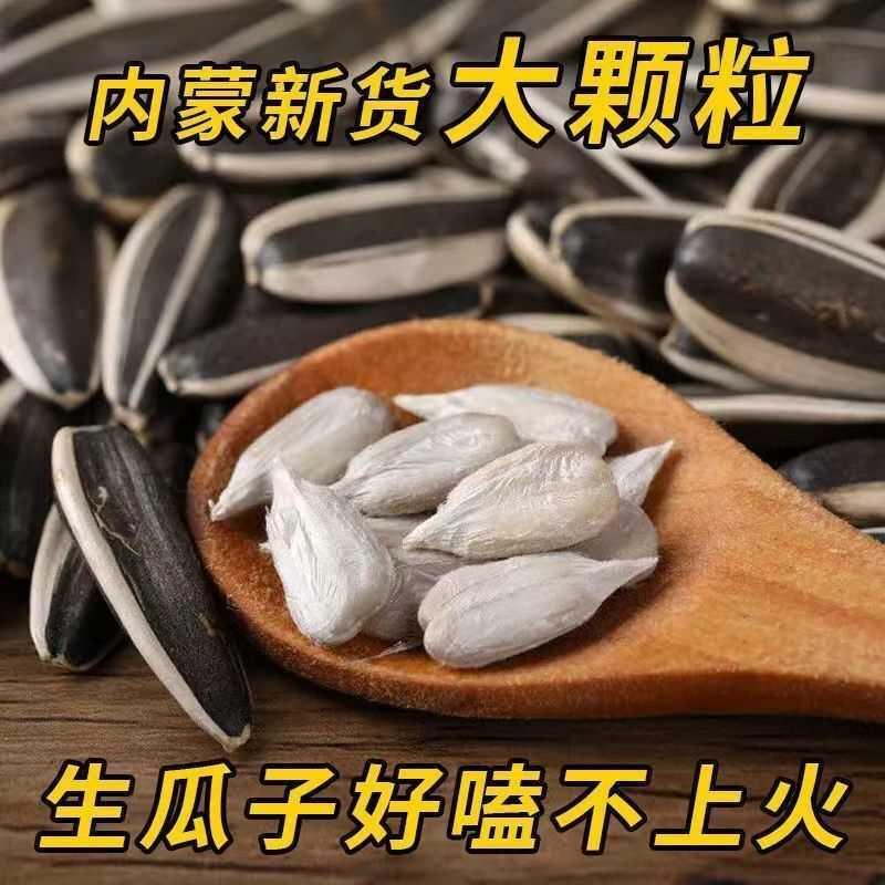新货瓜子葵瓜子原味生瓜子葵花籽正宗新鲜生葵瓜子向日葵批发零售