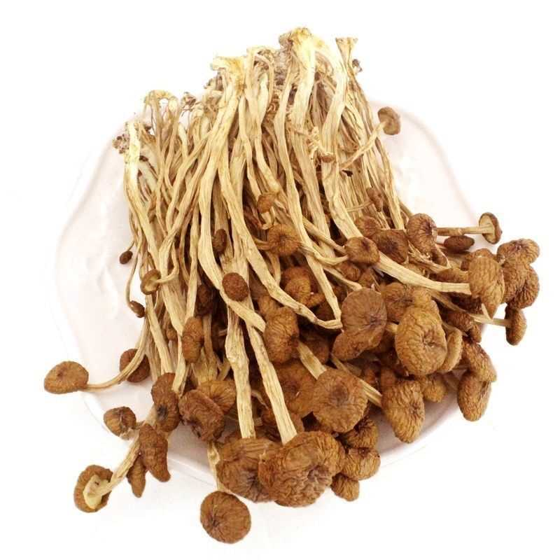 【净重发货】不开伞茶树菇干货农家特产新鲜茶树菇新货煲汤批发价