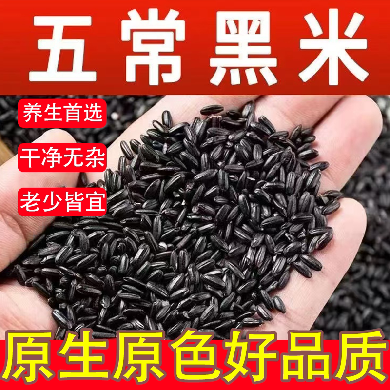 正宗东北农家新黑米无染色无防腐剂黑大米黑米粥农家健康粗粮主食
